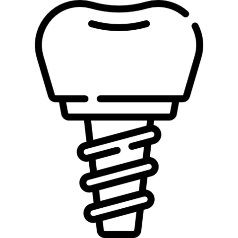 protetyka